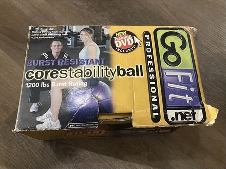 GoFit Professional Grade Core Stability Ball.