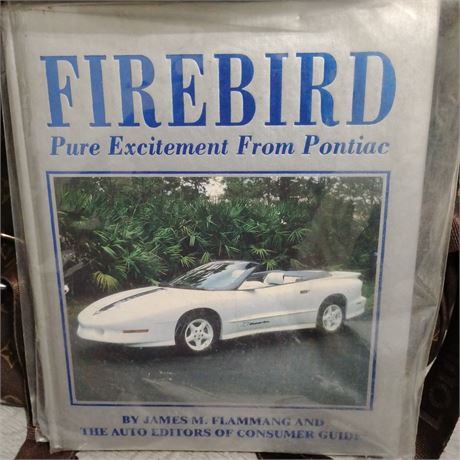 Firebird: Pure Excitement from Pontiac" book. It was written by James M. Flamman