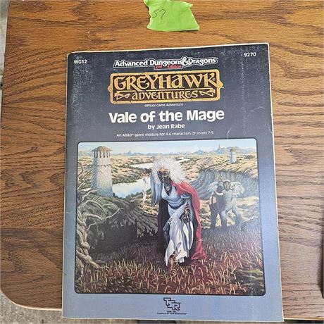 Dungeons & Dragons Vale of the Mage