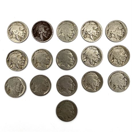 Collection of Liberty Buffalo Nickels (1927, 1928, & Others)