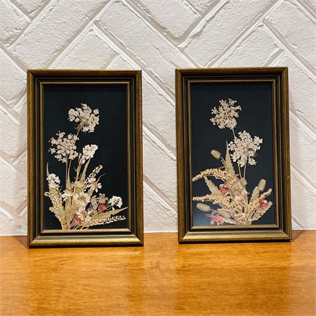 Vintage Framed Pressed Floral Print Pair