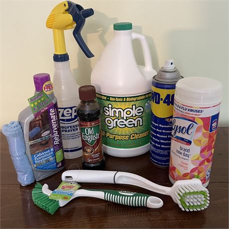 Household Cleaning Lot