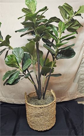 Wicker Basket w/Tall Foliage