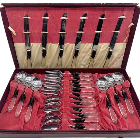 Setting for 6 Vtg Royal Elegance Lucite Handled "Perma-Brite" Flatware Set