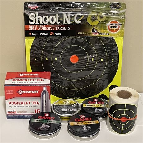 .22 Cal Air Gun Pellets, 12g CO2 Powerlet Cartridges & Shooting Targets