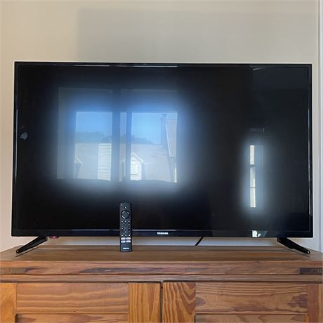 Toshiba 43" LCD TV with Remote