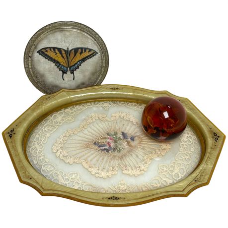Vtg Celluloid Vanity Tray, Tiger Swallowtail Butterfly Coaster, & Paperweight