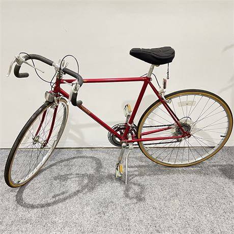 Vintage 21" Sears TS10 Free Spirit Bike