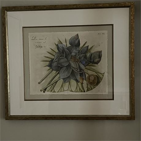 Blue Lotus Flower Art Print