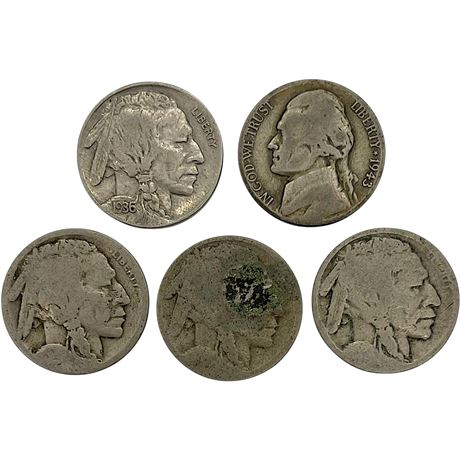 1930s Buffalo Nickels & 1943-D Jefferson 35% Silver Nickel