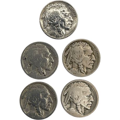 '20s & '30s Buffalo Nickel Coins