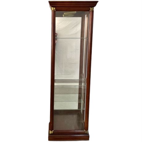 Pulaski Furniture Lighted Curio Cabinet with Mirrored Backing