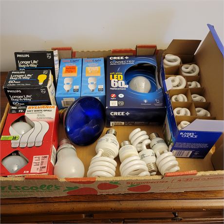 assorted light bulbs