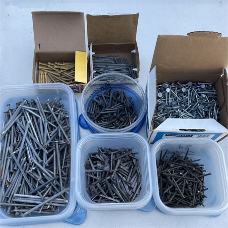 Assorted "sorted" Screws and Nails