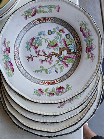 5 plates