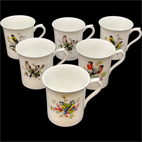 Set of 6 Queens Rosina China "Birds of America" Series 1 Mugs