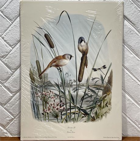 1981 Edouard Travies "Bearded Tit" Art Print
