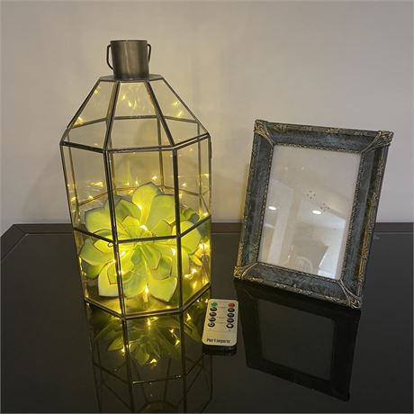 Pier One Imports Lighted Succulent Lantern with Remote and Coordinated Frame