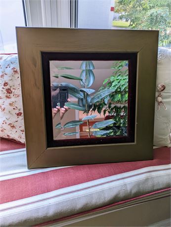 Beveled glass mirror with wood frame
