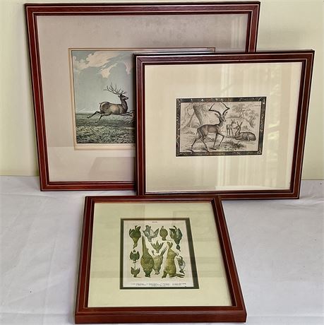 Antique Hunting-Related Framed Prints