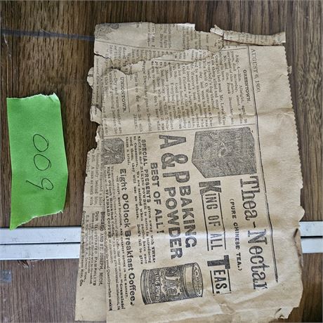 1890 Newspaper Advertisement
