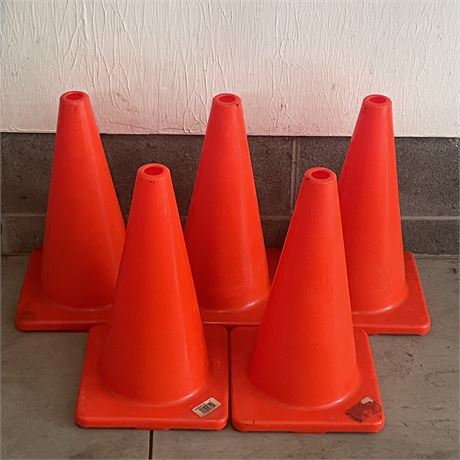 Grouping of 5 Safety Cones - Great for Maneuver Ability Practice