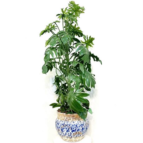 Nice Artificial Plant in Ceramic Planter - over 3 ft.