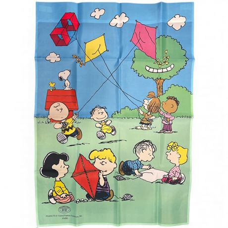 New Peanuts and Gang - Double Sided Flag
