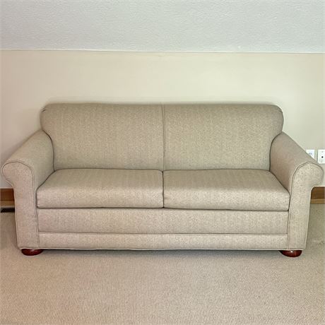 Schnadig Sleeper Sofa