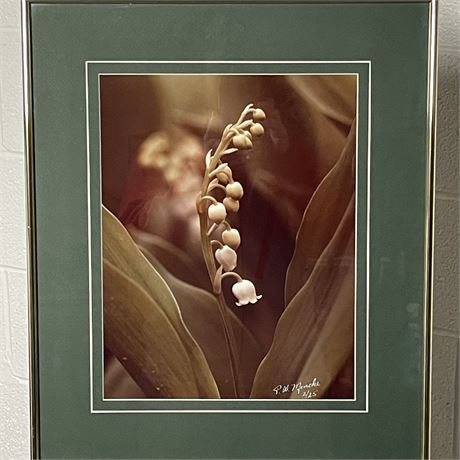 Signed P. W. Mencke "Lilies of the Valley" Numbered 2/25 Photograph