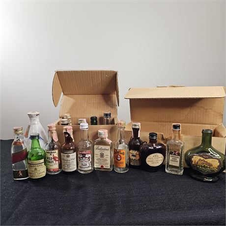 Assorted Miniature Liquor Bottles