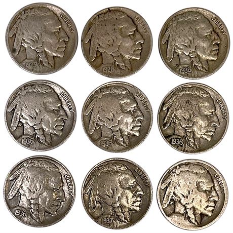 1923-1937 Buffalo Head Nickels