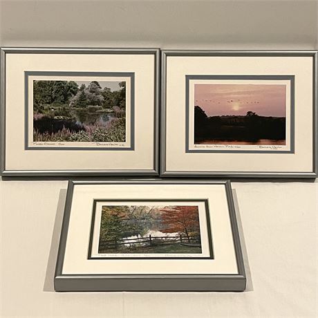 Barbara Hacha Vtg S/N Photos in Frame - Holden Arboretum, Holden Pond, Flowers