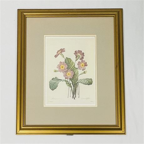 Vintage Wood Framed Botany Art Litho Print