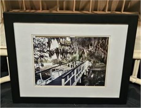 Magnolia Plantation and Gardens Framed Photo
