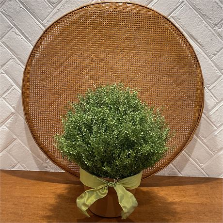 Woven Wall Hanging Basket with Potted Greenery