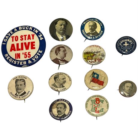 Antique / Vintage Political & Other Pins