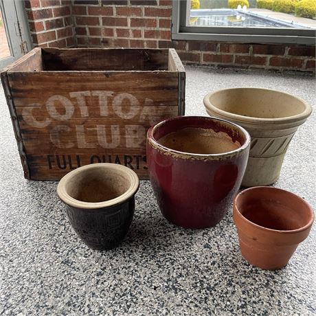 Wooden Cotton Club Divided Crate and Ceramic / Terracotta Planters