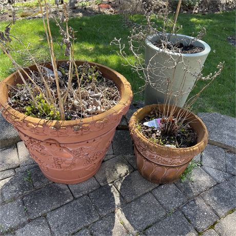 Set of 3 Outdoor Potted Planters