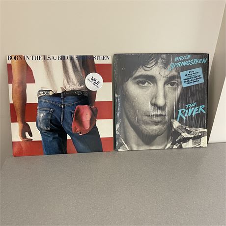 Pair of Bruce Springsteen Vinyl Albums