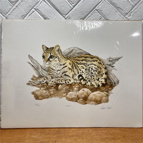 Charles Rowe Pencil Signed & Numbered 264/425 "Ocelot" Art Print