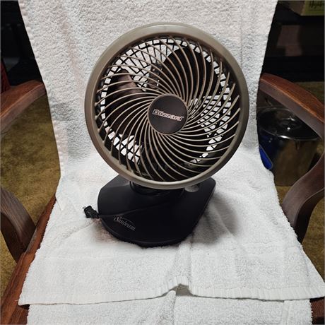 Holmes Blizzard Oscillating Table Fan, specifically the 9-inch, 3-speed model.