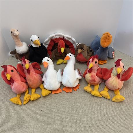 (11) TY Beanie Babies - Birds