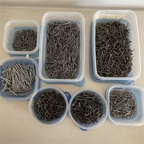 Assorted "Sorted" Screws and Nails