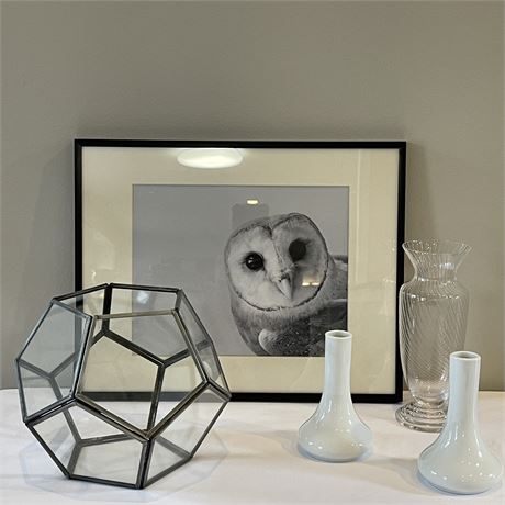 Contemporary Home Decor with Terrarium Ball, Framed Peaking Barn Owl and More
