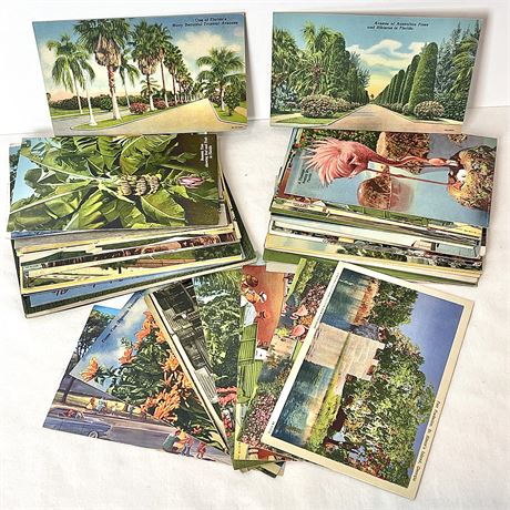 Collection of Vintage Scenery Postcards - Unwritten On