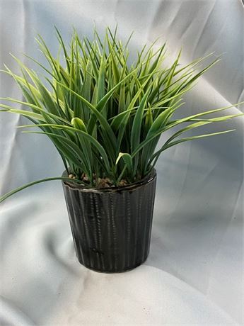 Artificial Plant in Black Pot/Planter