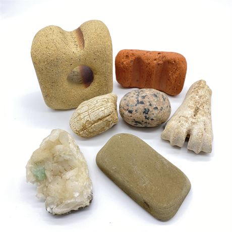 Unique Collection of Rocks, Minerals and Bone