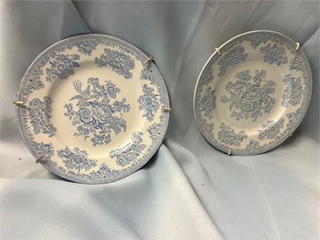 Set of 2 Blue Burleigh Pottery Plates - "Asiatic Pheasant"