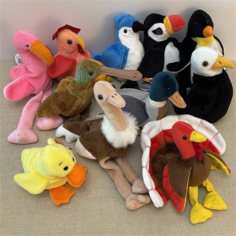 (11) TY Beanie Babies - Birds